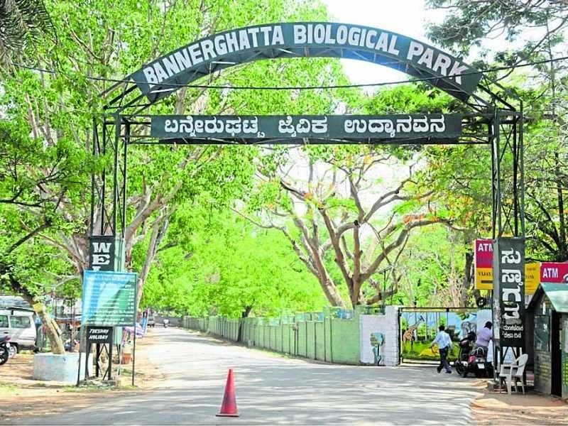 Hotels Near Bannerghatta National Park